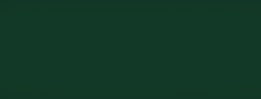 Verde scuro 6009
